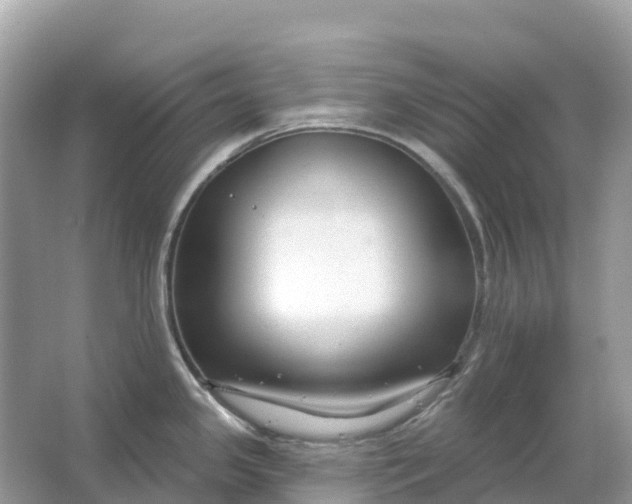 X0000064761341200602241900