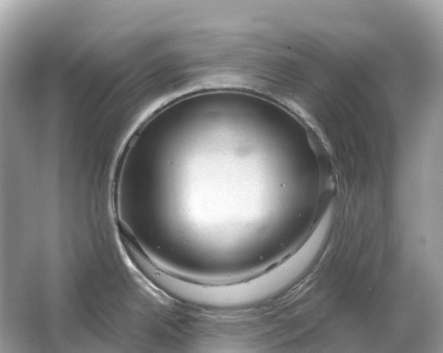 X0000064761342200602241900