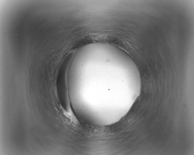 X0000064761345200602241859