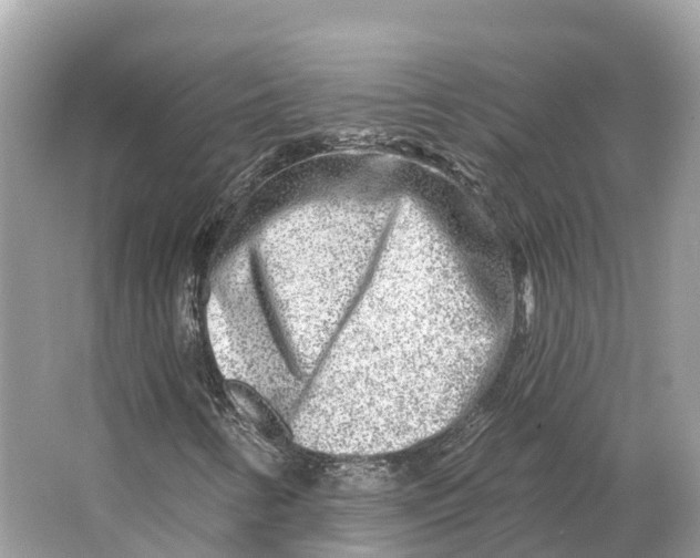 X0000064761346200602241859