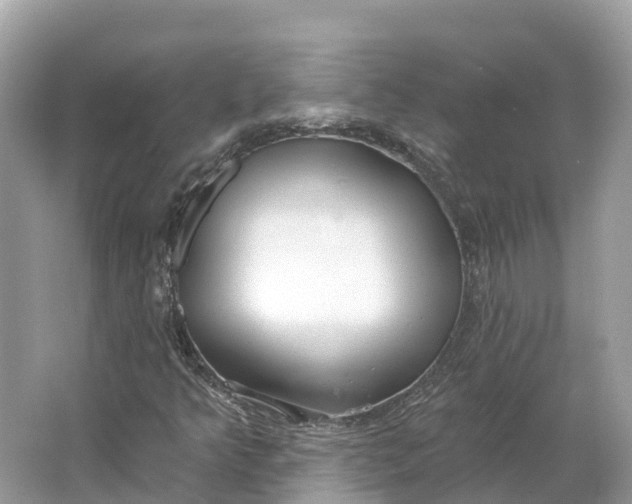 X0000064761349200602241859