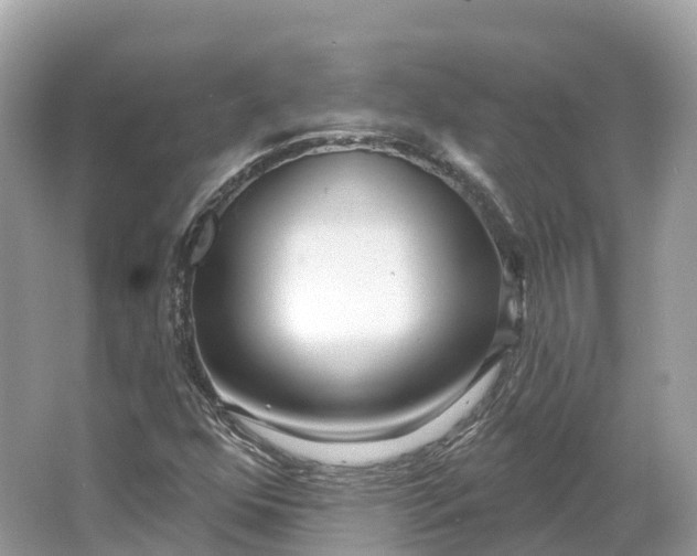 X0000064761352200602241859