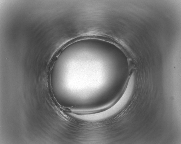 X0000064761356200602241858