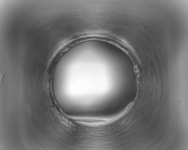 X0000064761360200602241858