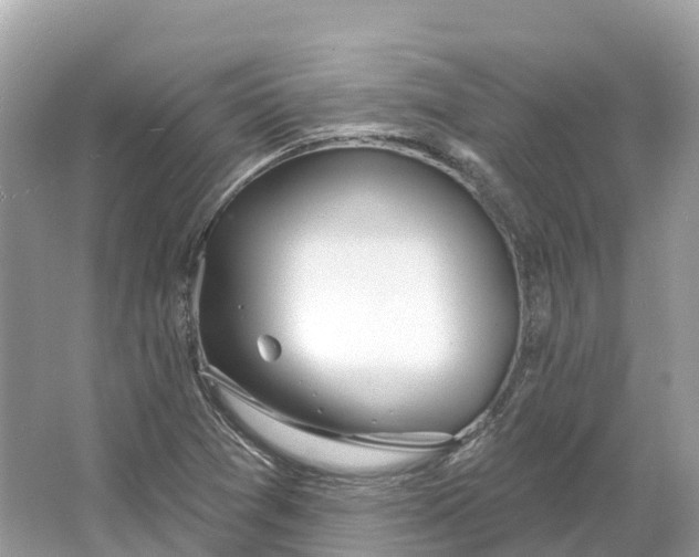 X0000064761361200602241858