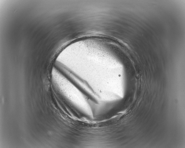 X0000064761363200602241858