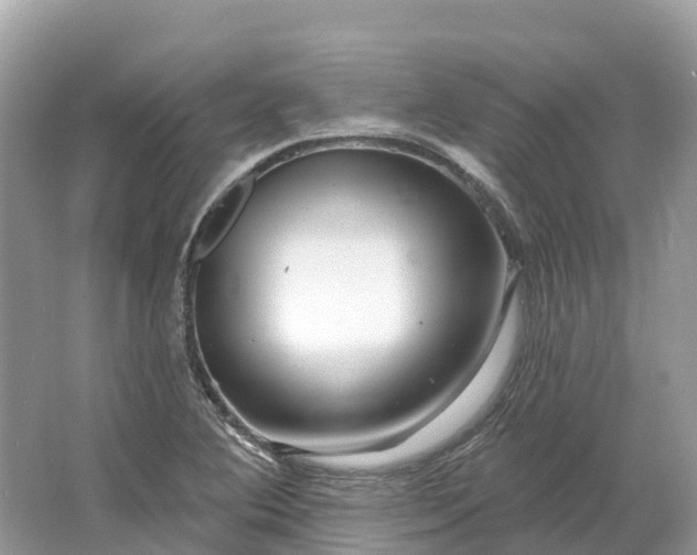 X0000064761364200602241858