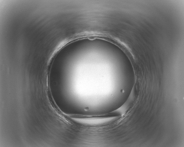 X0000064761365200602241858