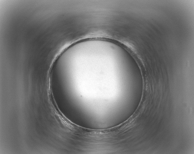 X0000064761366200602241858