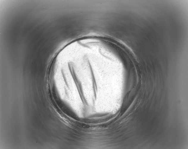X0000064761367200602241858