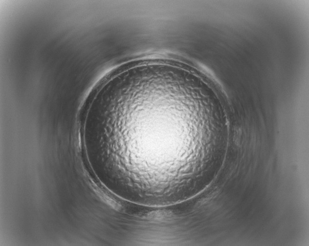 X0000064761368200602241858