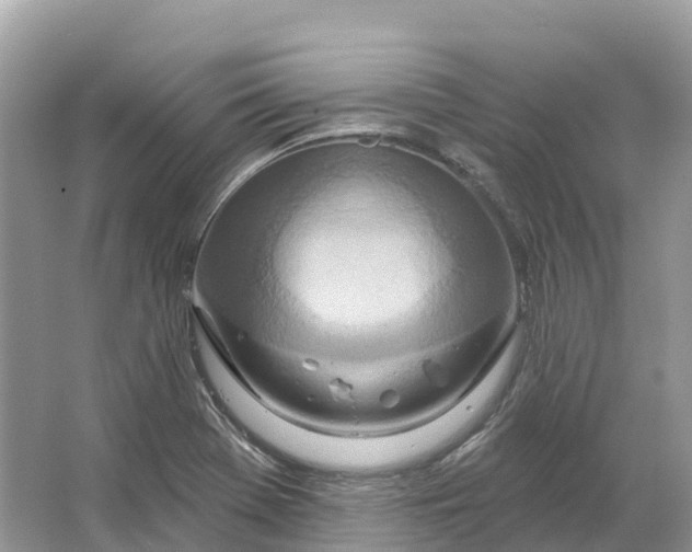 X0000064761369200602241858