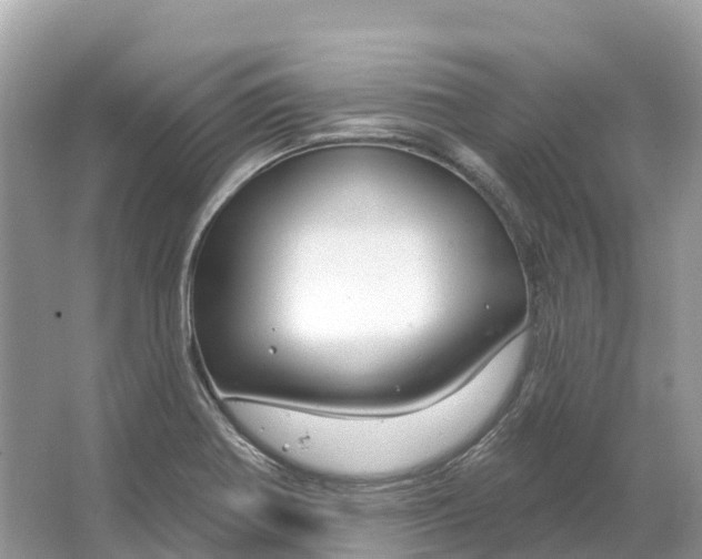 X0000064761370200602241858