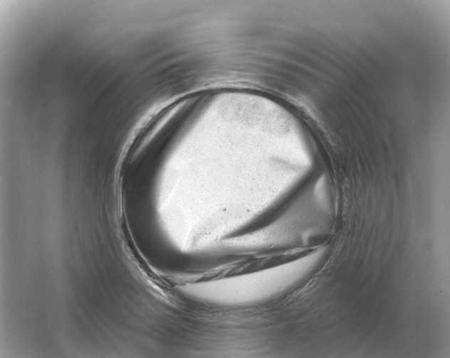 X0000064761371200602241858