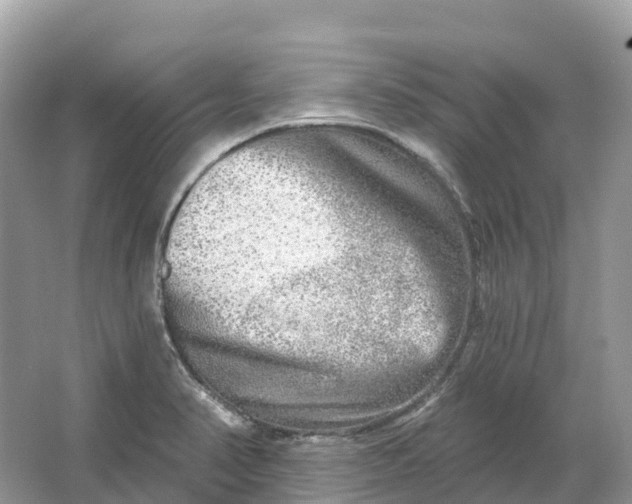 X0000064761374200602241858