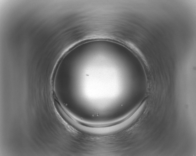 X0000064761380200602241858