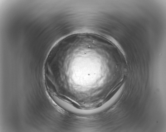 X0000064761388200602241858
