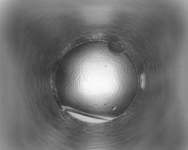 X0000064761395200602241856