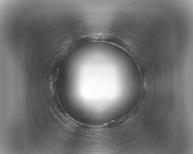 X0000064761396200602241856
