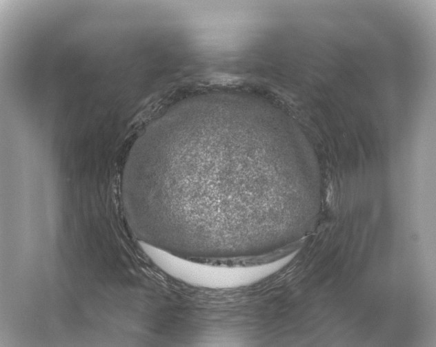 X0000064761397200602241856