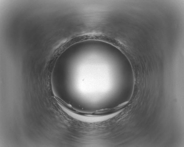 X0000064761398200602241856