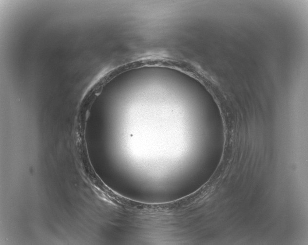 X0000064761400200602241857