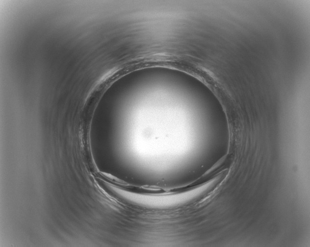 X0000064761402200602241857