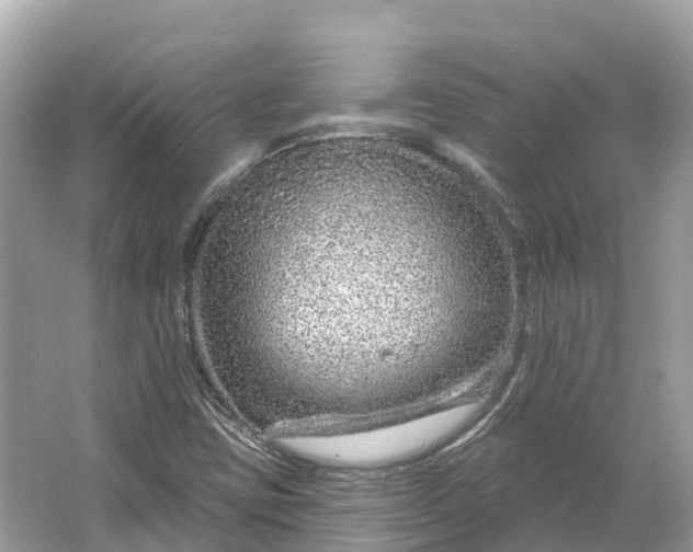 X0000064761403200602241857