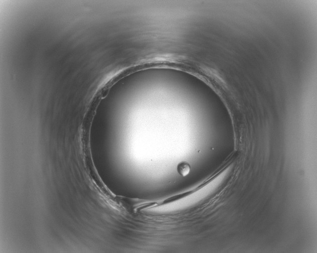 X0000064761404200602241857