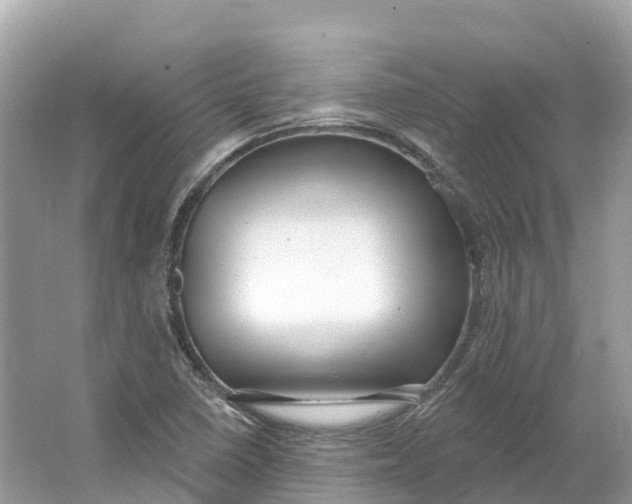 X0000064761410200602241857
