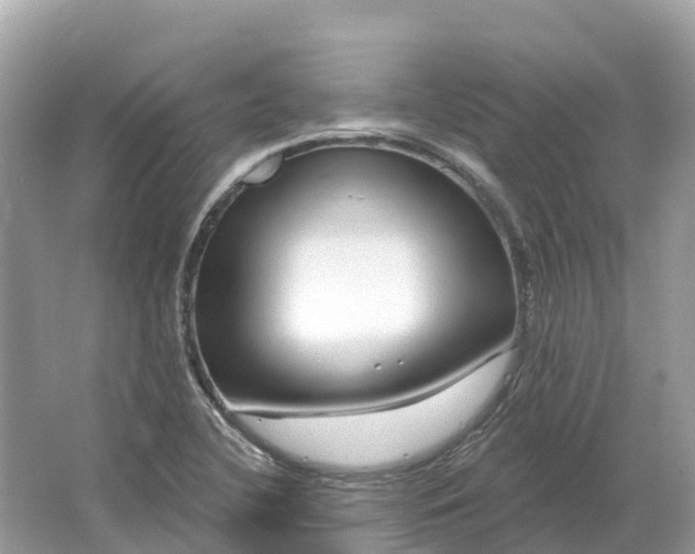 X0000064761412200602241857