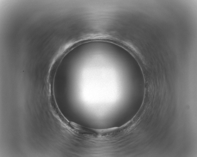 X0000064761414200602241857