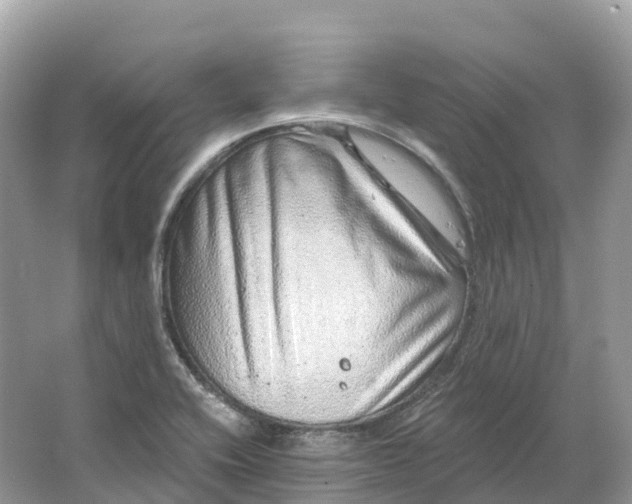 X0000064761416200602241857