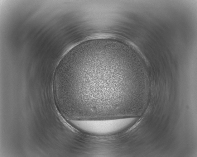 X0000064761417200602241857