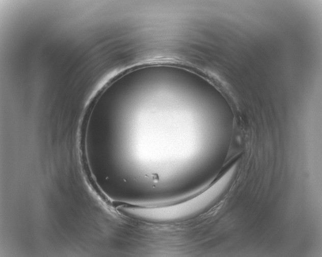 X0000064761422200602241857