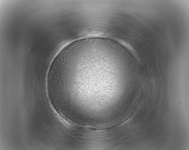 X0000064761423200602241857