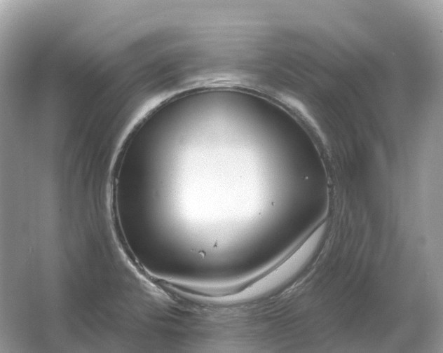 X0000064761424200602241857