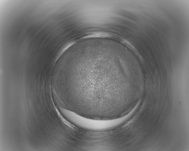 X0000064761425200602241857