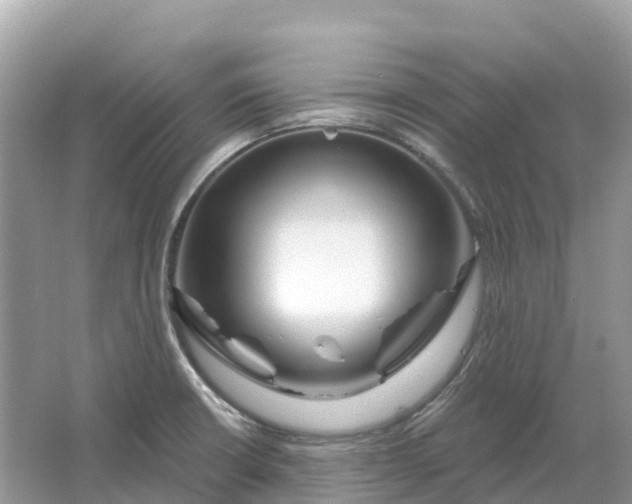 X0000064761426200602241857
