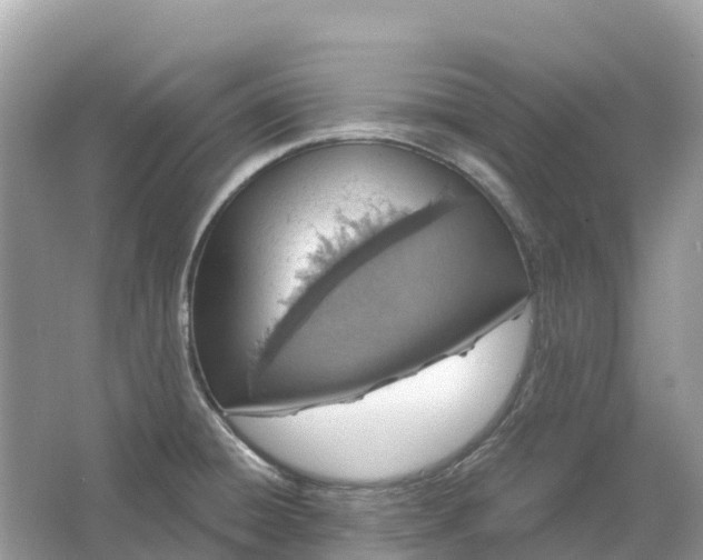 X0000064761428200602241857
