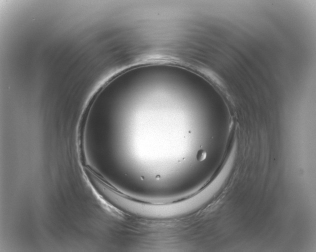 X0000064761430200602241857