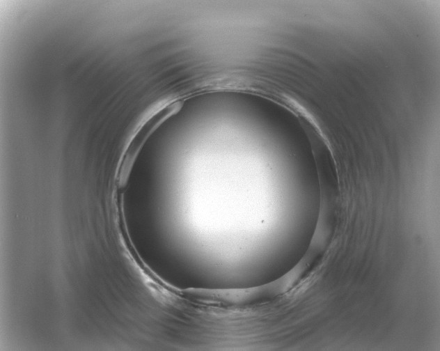 X0000064761434200602241857