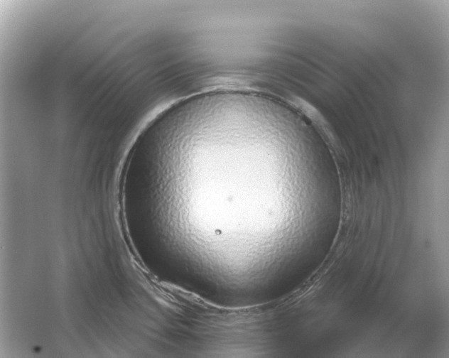 X0000064761435200602241857