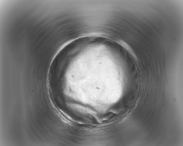 X0000064761436200602241857