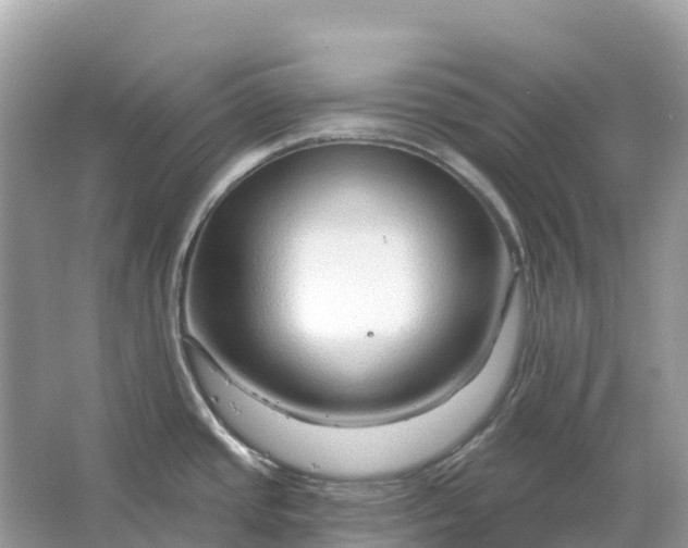 X0000064761437200602241857