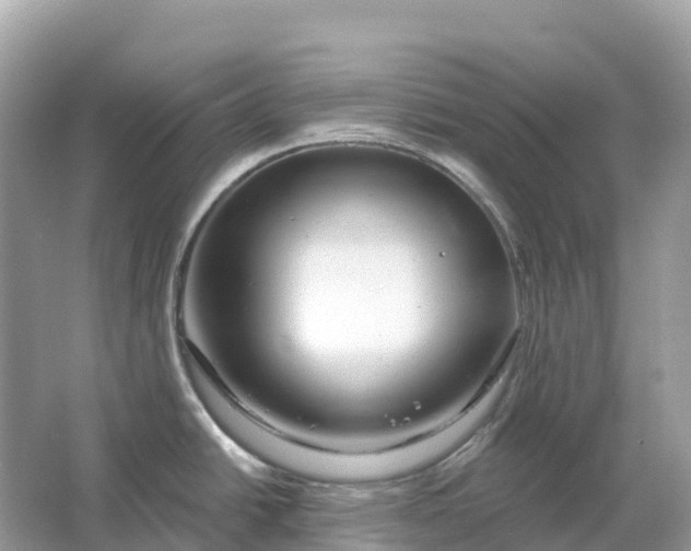 X0000064761438200602241857