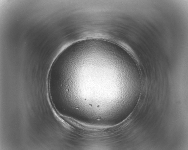 X0000064761439200602241858