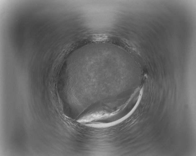 X0000064761441200602241856