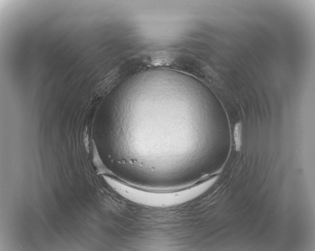 X0000064761443200602241856