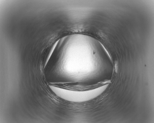X0000064761444200602241856